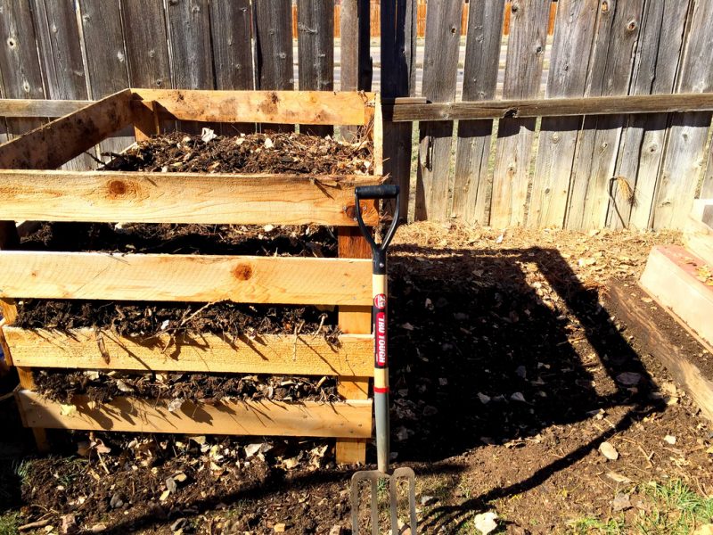 All You Need to Know About Home Composting