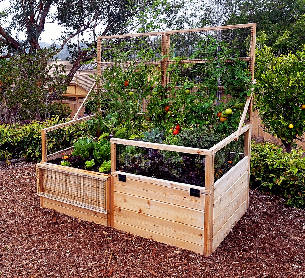 Trellis Bed